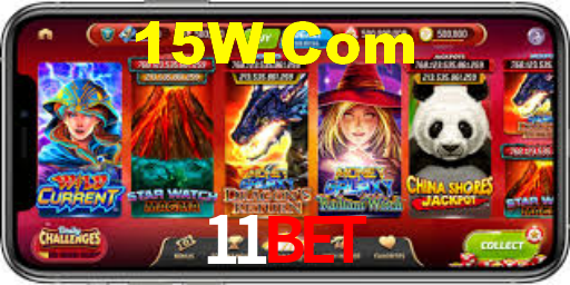 Premium Interface 11bet